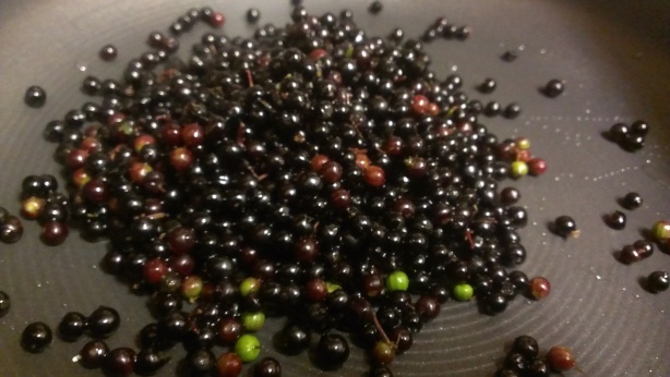 I hope they're Elderberries at least.  Or at least have hallucinogenic properties.