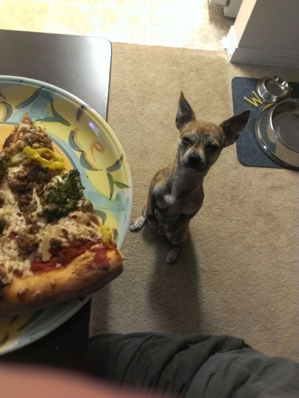 When there's vegan pizza involved, someone is always near, guarding the floor like a miniature marsupial with magnificent manners.