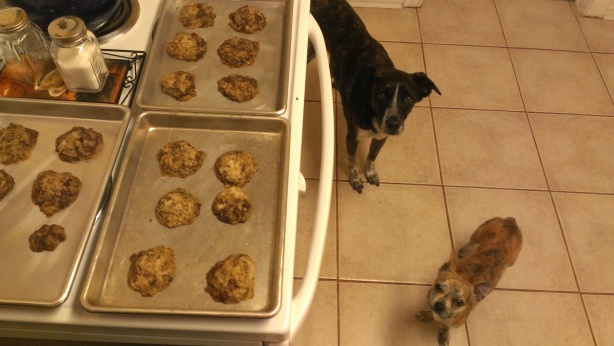 I even did chocolate chip & fresh minced mint in a recipe.  None for the pups.
